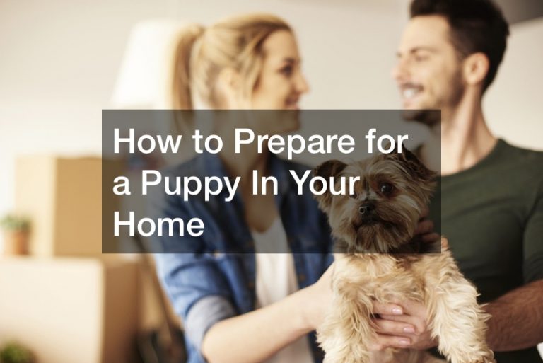 How to Prepare for a Puppy In Your Home - Vets Pet